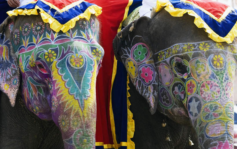 无人,站,横图,彩色,室外,特写,白天,正面,抽象,度假,绘画,美景,城市风光,城市,大象,野生动物,纺织品,印度,亚洲,一头,花纹,艺术,装饰,彩绘,毛毯,毯子,图案,手工制品,景观,艺术品,古典,图像,注视,文化,娱乐,动物,工艺品,观察,看,品味,站着,享受,休闲,概念,景色,放松,可爱,活泼,观看,华丽,修饰,美术,点缀,察看,高雅,关注,南亚,凶猛,印度共和国,美学,衬托,美观,雅致,雅观,构图,式样,图文,站立,半身,彩图,涂鸦