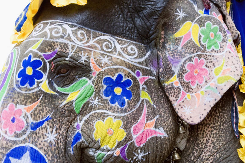 头,无人,站,横图,彩色,室外,特写,白天,正面,抽象,度假,绘画,美景,城市风光,城市,大象,野生动物,纺织品,印度,亚洲,一头,花纹,艺术,装饰,彩绘,毛毯,毯子,图案,手工制品,景观,艺术品,古典,图像,注视,文化,娱乐,动物,工艺品,观察,看,品味,站着,享受,休闲,概念,景色,放松,可爱,活泼,观看,华丽,修饰,美术,点缀,察看,高雅,关注,南亚,凶猛,印度共和国,美学,衬托,美观,雅致,雅观,构图,式样,图文,头部,站立,半身,彩图,涂鸦