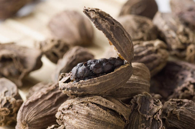 无人,横图,俯视,室内,特写,白天,植物,餐桌,桌子,一堆,许多,堆叠,堆积,木质,调味,香料,佐料,种子,草药,药草,中药,餐台,堆,豆蔻,配料,药材,中草药,中药材,本草,作料,消食,白豆蔻,彩图,高角度拍摄,开胃