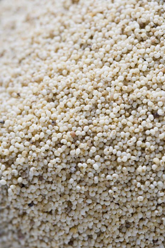 无人,竖图,俯视,室内,特写,白天,植物,罂粟,一堆,许多,阴影,堆叠,堆积,朦胧,模糊,反射,影子,草药,中药,摄影,影棚,堆,罂粟籽,毒品,药材,中草药,中药材,本草,止痛,镇静,安眠,罂粟花,彩图,高角度拍摄,影棚拍摄,拍摄