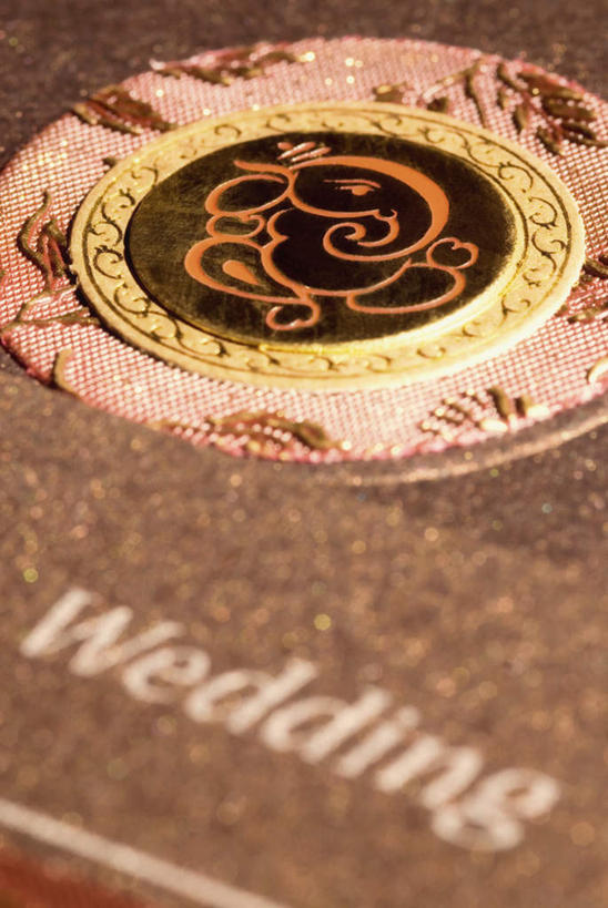 无人,竖图,俯视,室内,特写,白天,哺乳动物,大象,野生动物,静物,英文,标志,文字,字符,字母,标识,动物,英文字母,请帖,象,彩图,高角度拍摄,请柬