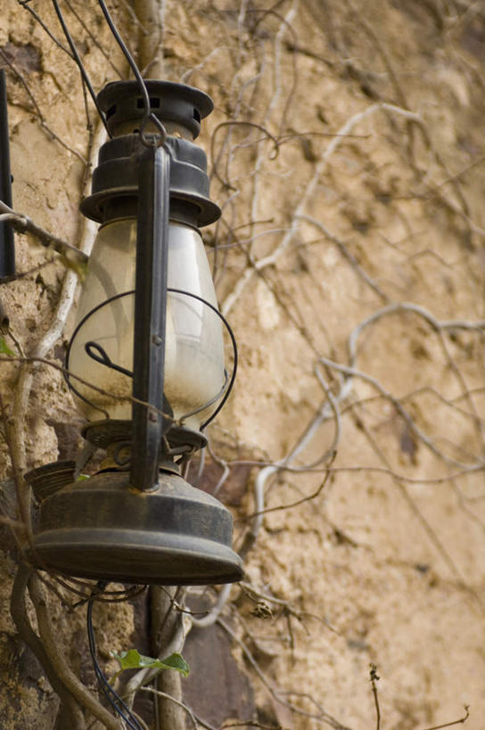 无人,竖图,室外,特写,白天,仰视,金属制品,照明,金属,灯笼,纸灯笼,墙,长春藤,常春藤,墙壁,墙面,灯具,照亮,照明设备,永恒,不朽,忠实,洋常春藤,彩图,低角度拍摄,常青藤