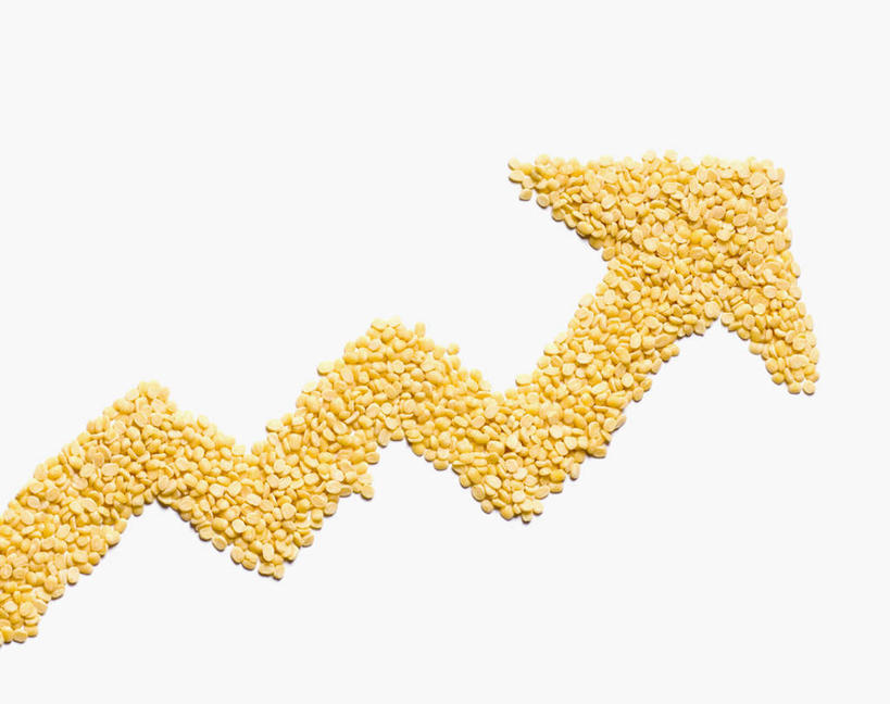 无人,横图,俯视,室内,特写,白天,白色背景,玉米,蔬菜,一堆,堆叠,堆积,新鲜,棒子,玉蜀黍,食品,方向,食物,黄色,摄影,有机食品,绿色食品,影棚,堆,苞米,指标,苞芦,苞谷,包谷,大蜀黍,番麦,薏米包,玉高粱,玉麦,珍珠米,彩图,高角度拍摄,影棚拍摄,拍摄