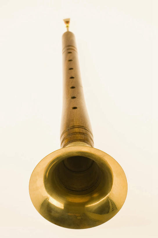 无人,竖图,俯视,室内,特写,白天,白色背景,静物,阴影,反射,影子,吹奏乐器,单簧管,黑管,乐器,木管乐器,一个,金色,摄影,影棚,单个,木管,克拉管,乌木棒,彩图,高角度拍摄,影棚拍摄,拍摄