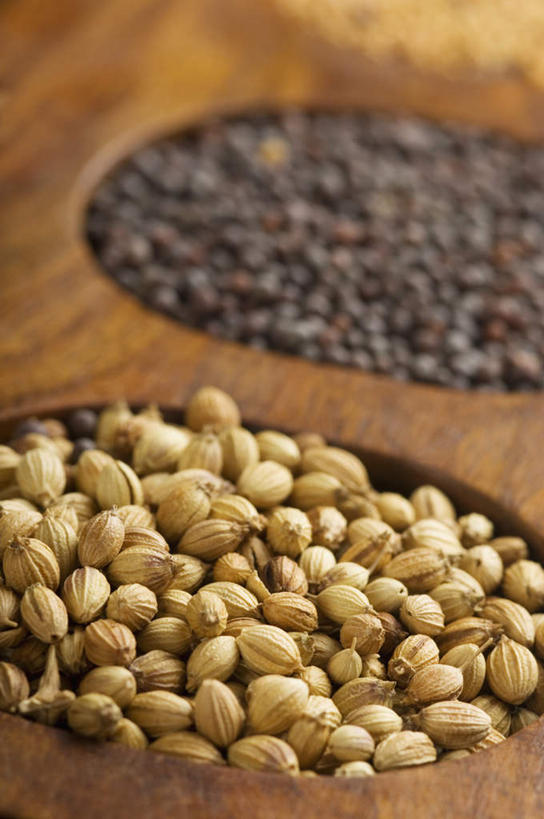 无人,竖图,俯视,室内,特写,白天,一堆,许多,阴影,堆叠,堆积,朦胧,模糊,反射,影子,香菜,调味,香料,佐料,堆,配料,胡菜,香荽,原荽,园荽,芫荽,作料,胡荽,莞荽,芫茜,芫蓿,莚葛草,莚荽菜,彩图,高角度拍摄