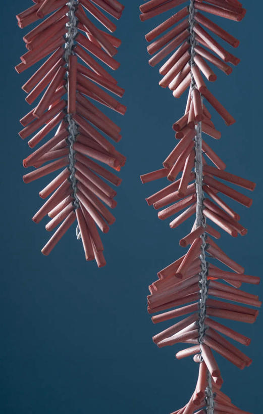 无人,竖图,室内,特写,白天,正面,鞭炮,吊挂,悬挂,蓝色背景,朦胧,模糊,挂,导火线,摄影,影棚,爆竿,爆仗,爆竹,鞭爆,炮仗,彩图,影棚拍摄,拍摄