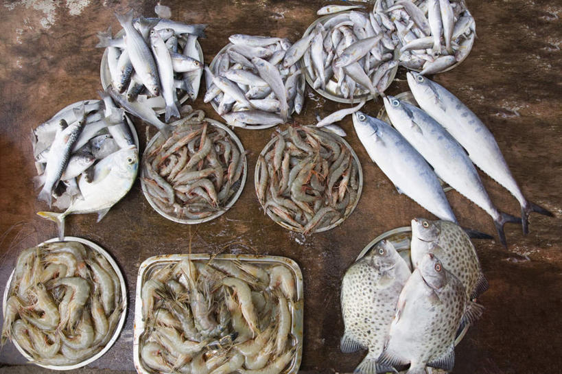 海鲜,无人,横图,俯视,室内,特写,白天,桌面,桌子,餐具,金属制品,许多,朦胧,模糊,金属,木制,鱼,碟子,盘,基围虾,水产,鱼类,海洋生物,盘子,木制品,碟,死亡,水生动物,海产品,水生物,海底动物,殒命,灭亡,刀额新对虾,麻虾,新对虾,彩图,高角度拍摄