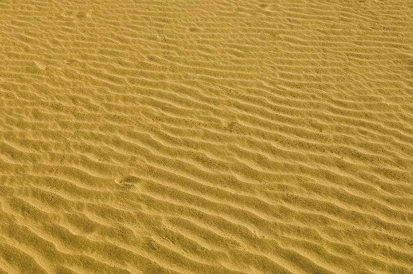 无人,横图,俯视,室外,特写,白天,旅游,度假,美景,沙漠,印度,亚洲,一排,整齐,纹路,纹理,景观,娱乐,排列,自然,享受,休闲,景色,放松,队列,自然风光,南亚,肌理,首府,拉贾斯坦邦,拉贾斯坦,印度共和国,红粉之城,斋普尔,大漠,砂漠,彩图,高角度拍摄