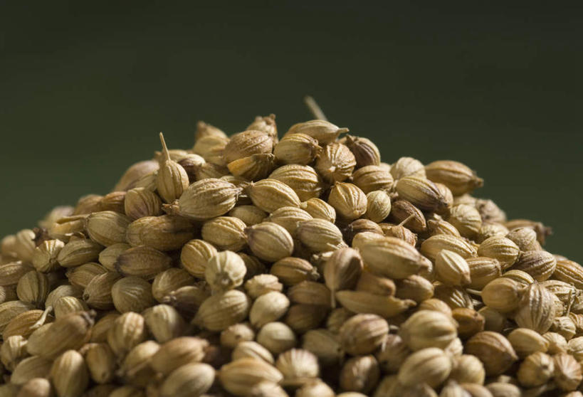 无人,横图,室内,特写,白天,正面,一堆,许多,堆叠,堆积,黑色背景,朦胧,模糊,包装,包装纸,纸,调料,香料,纸张,调味品,摄影,影棚,堆,包装材料,牛皮纸,胡荽籽,香菜籽,芫荽籽,须菜籽,彩图,影棚拍摄,拍摄