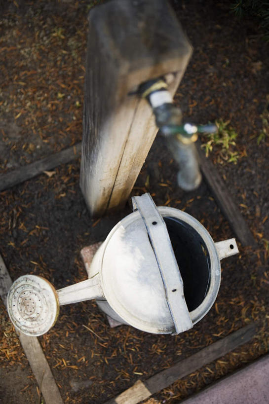 无人,竖图,俯视,室外,白天,旅游,度假,壶,水龙头,洒水壶,娱乐,开关,水壶,打开,享受,休闲,放松,阀门,开启,浇水壶,水咀,彩图,高角度拍摄