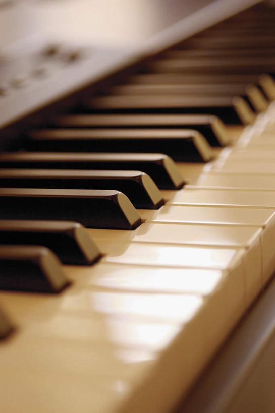 无人,竖图,俯视,室内,特写,白天,键盘,静物,一排,阴影,朦胧,模糊,整齐,反射,影子,钢琴,乐器,排列,键盘乐器,队列,彩图,高角度拍摄