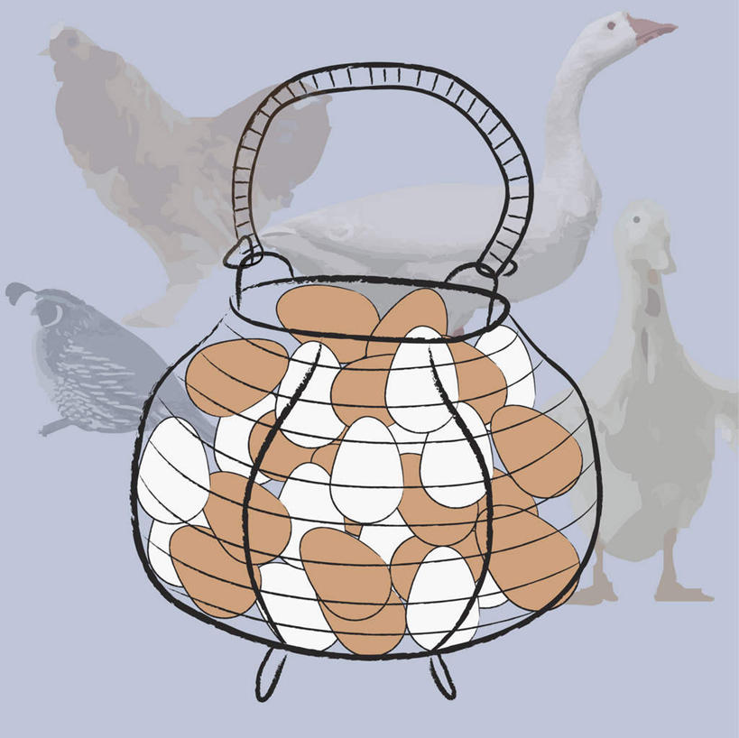 无人,站,横图,插画,室内,白天,正面,数码,科技,鸟,四只,一堆,许多,阴影,堆叠,堆积,网络,麻雀,鸟类,鸭,篮子,蛋,鸡蛋,很多,高光,几何,计算机图形,合成,图画,注视,家禽,画,动物,容器,观察,看,站着,牲畜,观看,储藏,堆,电脑合成图,数码合成图,察看,合成图,储存,关注,漫画,家雀,草鸡蛋,写实,具体,具象,卵,霍雀,老家贼,鹌鹑,奔鹑,宛鹑,嘉宾,树麻雀,瓦雀,只只,站立,彩图,全身,贮存