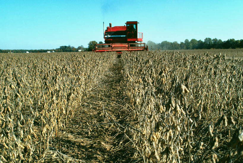 无人,农田,横图,室外,白天,正面,旅游,度假,庄稼,农作物,收割,美景,美国,一辆,阴影,光线,工具,影子,景观,娱乐,蓝色,蓝天,天空,阳光,自然,天,享受,休闲,景色,放松,晴朗,北美,北美洲,自然风光,美洲,收割机,农具,万里无云,马里兰州,自由之州,战线之州,马里兰,北亚美利加洲,亚美利加洲,小美国,脱粒,晴空,晴空万里,彩图,耕地,庄稼田