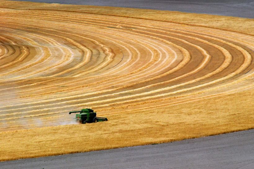 无人,农田,横图,俯视,室外,白天,旅游,度假,庄稼,农作物,收割,小麦,美景,城市,美国,一辆,阴影,丰富,丰收,弯曲,光线,工具,影子,景观,谷物,丰盛,麦田,娱乐,阳光,自然,享受,休闲,景色,放松,蜿蜒,麦子,北美,北美洲,自然风光,美洲,收割机,农具,怀俄明州,怀俄明,首府,夏延,北亚美利加洲,亚美利加洲,平等之州,丰登,丰硕,脱粒,彩图,高角度拍摄,耕地,庄稼田
