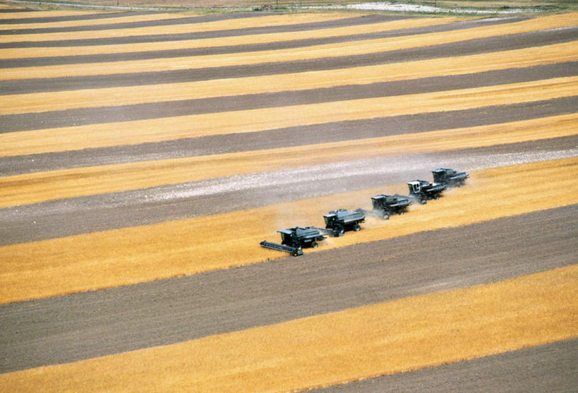 无人,农田,横图,俯视,航拍,室外,白天,旅游,度假,庄稼,农作物,收割,小麦,美景,美国,一排,阴影,丰富,丰收,整齐,光线,工具,影子,景观,谷物,丰盛,麦田,娱乐,排列,阳光,自然,驾驶,行驶,享受,休闲,景色,放松,麦子,操纵,控制,北美,北美洲,鸟瞰,队列,自然风光,美洲,收割机,操控,农具,怀俄明州,怀俄明,五辆,北亚美利加洲,亚美利加洲,把持,平等之州,丰登,丰硕,脱粒,彩图,高角度拍摄,耕地,庄稼田