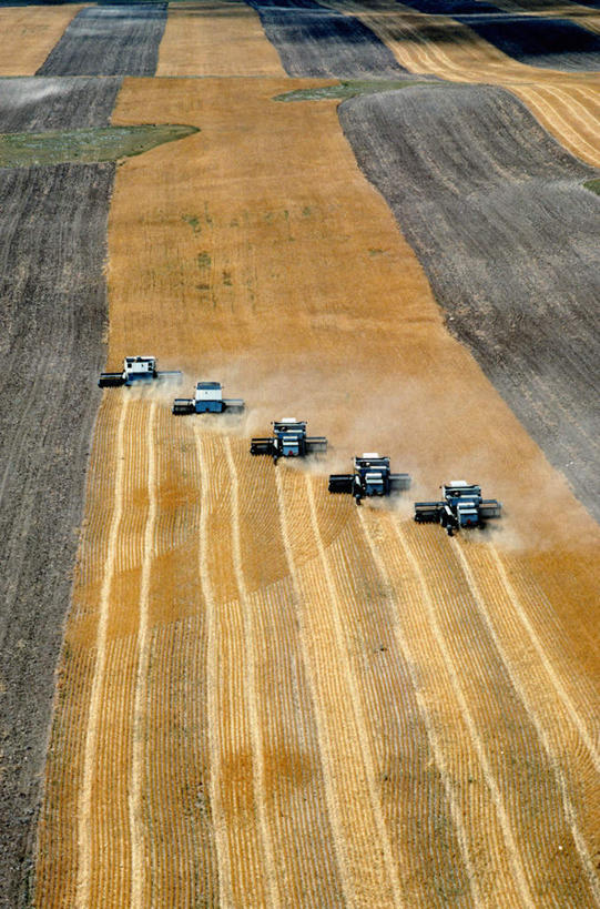 无人,农田,竖图,俯视,室外,白天,旅游,度假,庄稼,农作物,收割,小麦,美景,美国,一排,阴影,丰富,丰收,整齐,光线,工具,影子,景观,谷物,丰盛,麦田,娱乐,排列,阳光,自然,驾驶,行驶,享受,休闲,景色,放松,麦子,操纵,控制,北美,北美洲,队列,自然风光,美洲,收割机,操控,农具,怀俄明州,怀俄明,五辆,北亚美利加洲,亚美利加洲,把持,平等之州,丰登,丰硕,脱粒,彩图,高角度拍摄,耕地,庄稼田