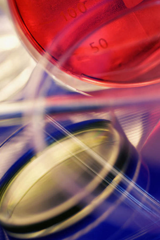 无人,竖图,俯视,室内,特写,白天,实验,研发,仪器,朦胧,模糊,研究,分析,科学,化学,测试,培养皿,液体,实验室,研究室,两个,红色,器皿,生物,科研,化验,检验,研究所,皮氏培养皿,试验耗材,实验用品,化学器材,化验室,检验室,彩图,高角度拍摄