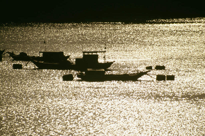 无人,横图,室外,白天,正面,旅游,度假,河流,美景,水,船,越南,亚洲,波纹,河水,景观,水流,木船,涟漪,背光,娱乐,水纹,自然,交通工具,波浪,享受,休闲,景色,放松,东南亚,波光粼粼,舟,自然风光,载具,逆光,三艘,越南社会主义共和国,水晕,彩图