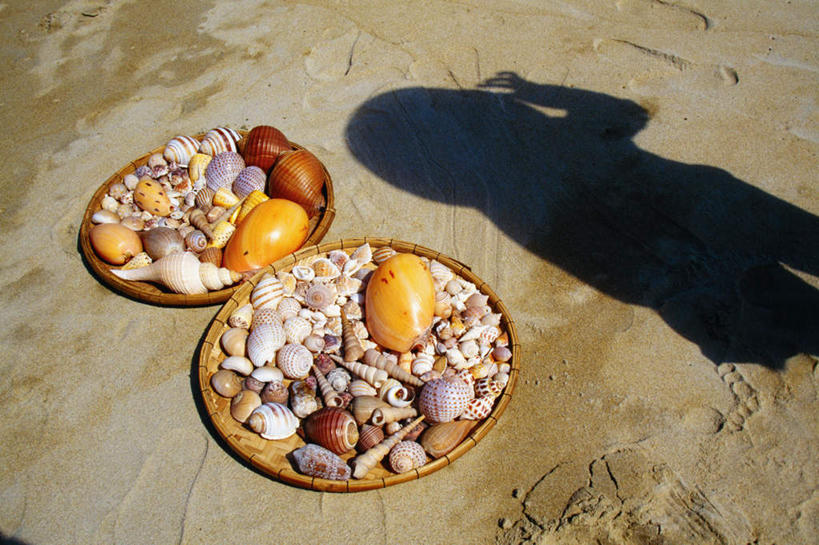 无人,交叉,横图,俯视,室外,白天,旅游,度假,美景,沙滩,竹子,贝壳,越南,亚洲,一堆,许多,阴影,堆叠,堆积,竹制,编织,光线,篮子,沙子,影子,海岸,景观,沙地,娱乐,阳光,自然,竹篮,享受,休闲,景色,放松,东南亚,竹条,堆,交织,竹制品,自然风光,越南社会主义共和国,穿插,岘港市,贝类外壳,海螺壳,软体动物外壳,海滩,彩图,高角度拍摄