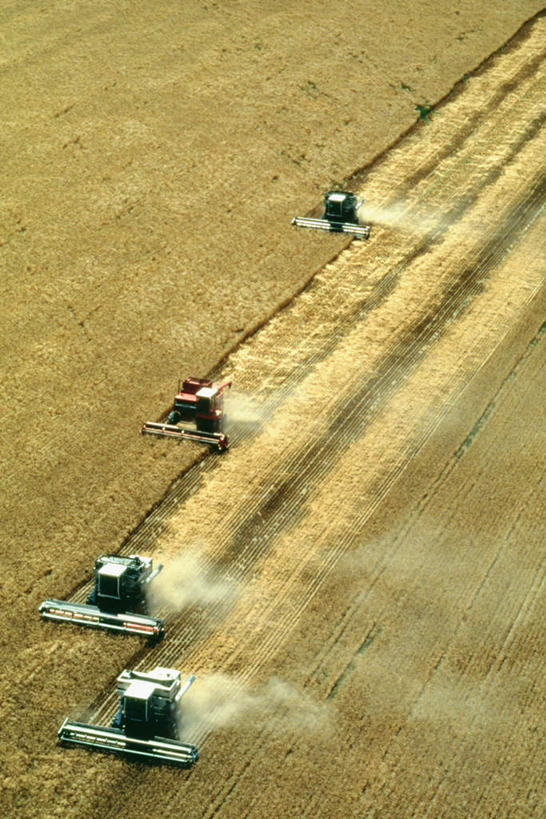无人,农田,竖图,俯视,航拍,室外,白天,旅游,度假,农业,庄稼,农作物,收割,美景,美国,丰收,纹路,工具,纹理,稻田,景观,尘埃,娱乐,自然,享受,休闲,景色,放松,收获,灰尘,尘土,北美,北美洲,鸟瞰,自然风光,美洲,收割机,农具,科罗拉多州,科罗拉多,肌理,四辆,北亚美利加洲,亚美利加洲,百年州,脱粒,彩图,高角度拍摄,耕地,庄稼田