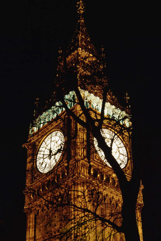 无人,竖图,室外,夜晚,仰视,旅游,度假,名胜古迹,植物,标志建筑,地标,建筑,英国,欧洲,伦敦,阴影,遗迹,时间,光线,时钟,影子,钟楼,灯光,枝条,首都,计时,古迹,文物,娱乐,建设,古建筑,大本钟,大笨钟,树,树木,树枝,绿色,自然,钟表,享受,休闲,表,旅游胜地,放松,生长,成长,西欧,大不列颠,古文明,大不列颠及北爱尔兰联合王国,塔钟,大不列颠联合王国,日不落英帝国,雾都,虬枝,枝杈,威斯敏斯特宫报时钟,伊丽莎白塔,钟,彩图,低角度拍摄
