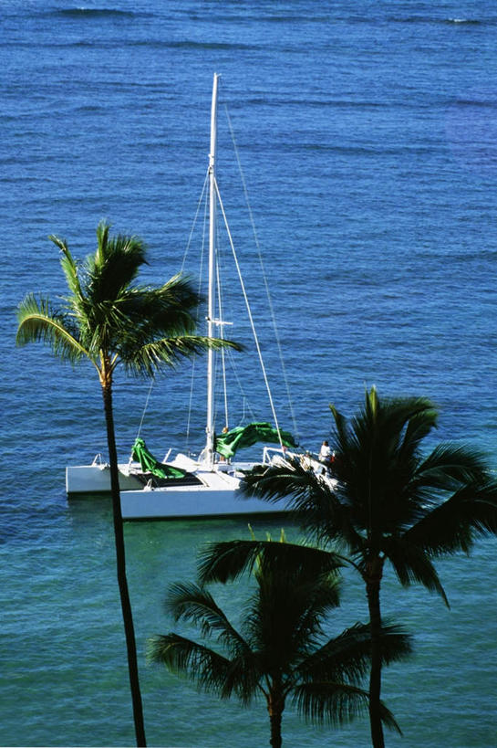 帆船,无人,竖图,俯视,室外,白天,旅游,度假,海浪,海洋,美景,植物,船,棕榈树,叶子,欧洲,荷兰,一艘,阴影,光线,影子,景观,浪花,绿叶,娱乐,树,树木,绿色,阳光,自然,海水,交通工具,享受,休闲,嫩叶,景色,放松,生长,成长,西欧,自然风光,载具,海景,棕榈叶,圣马丁岛,荷兰王国,尼德兰王国,荷属圣马丁,叶,叶片,大海,风浪,海,海水的波动,近岸浪,涌浪,彩图,高角度拍摄