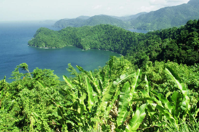 无人,横图,室外,白天,正面,旅游,度假,海浪,海洋,美景,森林,山,山脉,树林,植物,雾,加勒比海,朦胧,模糊,景观,浪花,山峰,山峦,娱乐,树,树木,绿色,自然,海水,群山,享受,休闲,景色,放松,生长,成长,迷雾,南美洲,拉丁美洲,自然风光,美洲,海景,多巴哥岛,亚美利加洲,南亚美利加洲,特立尼达岛,大海,风浪,海,海水的波动,近岸浪,涌浪,大雾,彩图