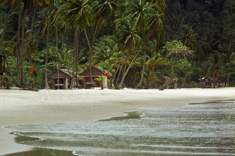 无人,横图,室外,白天,正面,旅游,度假,海浪,海洋,美景,沙滩,树林,植物,棕榈树,叶子,加勒比海,沙子,海岸,景观,浪花,绿叶,沙地,娱乐,树,树木,绿色,自然,海水,享受,休闲,嫩叶,景色,放松,生长,成长,南美洲,拉丁美洲,自然风光,美洲,海景,棕榈叶,多巴哥岛,亚美利加洲,南亚美利加洲,特立尼达岛,叶,叶片,大海,风浪,海,海水的波动,海滩,近岸浪,涌浪,彩图