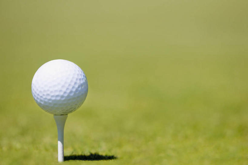 无人,横图,室外,特写,白天,正面,美景,阴影,朦胧,模糊,光线,木制,高尔夫,高尔夫球,影子,景观,球座,一个,白色,阳光,自然,木制品,景色,单个,支撑,自然风光,高尔夫运动,高尔夫球具,支持,彩图