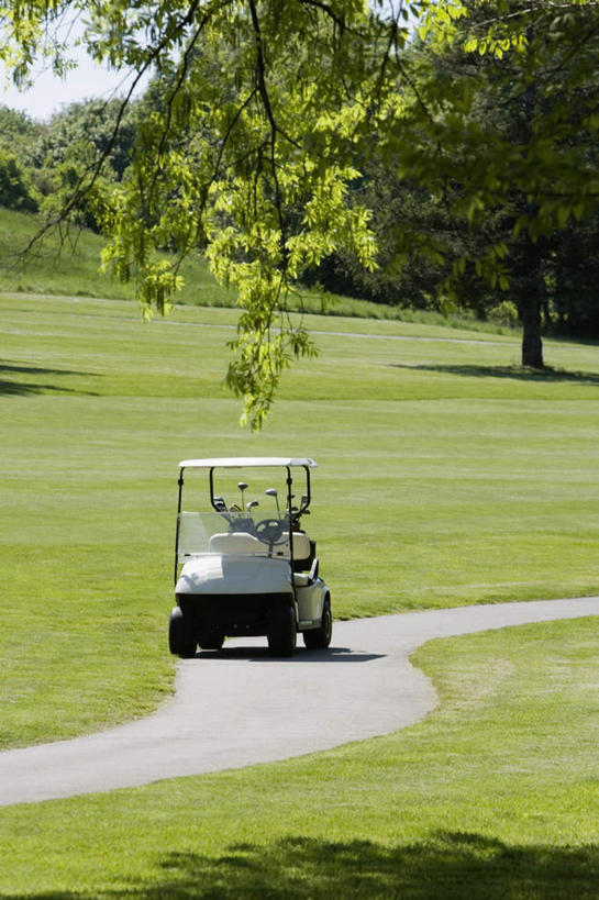 无人,竖图,室外,白天,正面,草地,草坪,植物,道路,路,一辆,阴影,光线,影子,球场,小路,交通,高尔夫球场,草,树,树木,绿色,阳光,自然,交通工具,生长,成长,载具,高尔夫车,绿茵场,高尔夫球车,高尔夫观光车,高尔夫用品,彩图