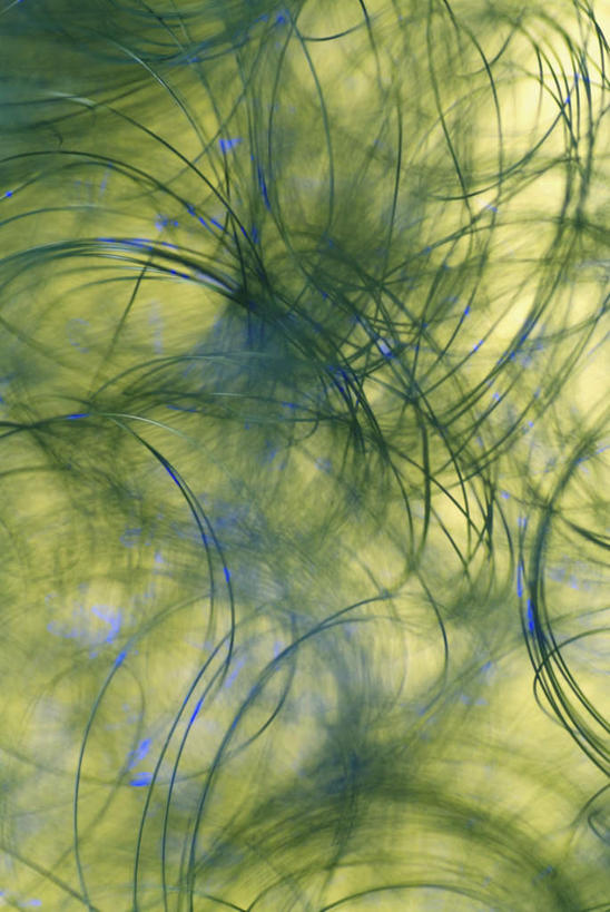 无人,竖图,室内,特写,白天,正面,阴影,环绕,缠绕,反射,线条,影子,庞大,复杂,纠缠,想象,繁杂,彩图