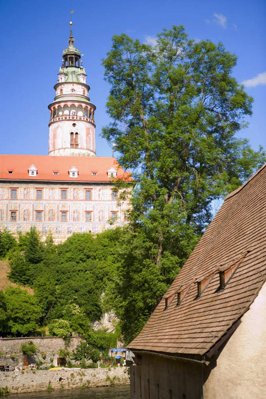 无人,家,竖图,室外,白天,仰视,度假,美景,植物,城市风光,城市,欧洲,捷克,阴影,光线,影子,房屋,屋子,景观,云,云朵,公寓,首都,云彩,娱乐,洋房,楼房,住宅,树,树木,蓝色,绿色,白云,蓝天,天空,阳光,自然,天,享受,休闲,景色,放松,生长,晴朗,成长,中欧,捷克共和国,旧城广场,布拉格广场,布拉格,瓦茨拉夫广场,布拉格旧城广场,布拉格老城广场,晴空,彩图,低角度拍摄,房子