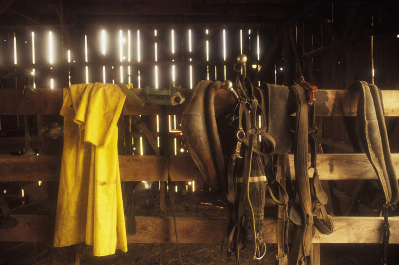 无人,农场,栏杆,横图,室外,白天,正面,旅游,度假,畜牧业,牧场,美景,吊挂,悬挂,朦胧,模糊,栅栏,景观,篱笆,围栏,挂,娱乐,护栏,座位,马鞍,自然,绳子,享受,休闲,景色,放松,绳索,自然风光,套索,畜牧,牧业,马具,彩图