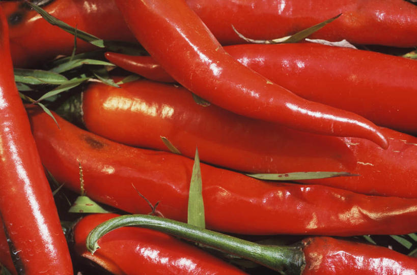 无人,横图,俯视,室外,特写,白天,辣椒,蔬菜,印度尼西亚,印尼,亚洲,一堆,许多,堆叠,堆积,新鲜,食品,食物,巴厘岛,东南亚,有机食品,绿色食品,堆,辣角,红海椒,大椒,辣虎,广椒,印度尼西亚共和国,巴厘省,辣子,红辣椒,海椒,番椒,彩图,高角度拍摄