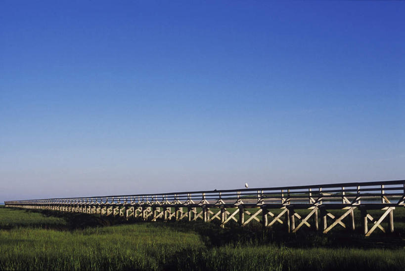 无人,横图,室外,白天,正面,旅游,度假,草地,草原,美景,植物,大桥,立交桥,桥梁,巴西,阴影,光线,影子,地平线,景观,旷野,高架,斜拉桥,桥,辽阔,地面,娱乐,草,蓝色,绿色,蓝天,天空,阳光,自然,天,享受,休闲,广阔,景色,南美,放松,湿地,晴朗,一望无际,南美洲,拉丁美洲,自然风光,原野,延伸,美洲,万里无云,巴西联邦共和国,天地相交,亚美利加洲,南亚美利加洲,潘塔纳尔湿地,马托格罗索州,无边无际,一马平川,晴空,晴空万里,彩图