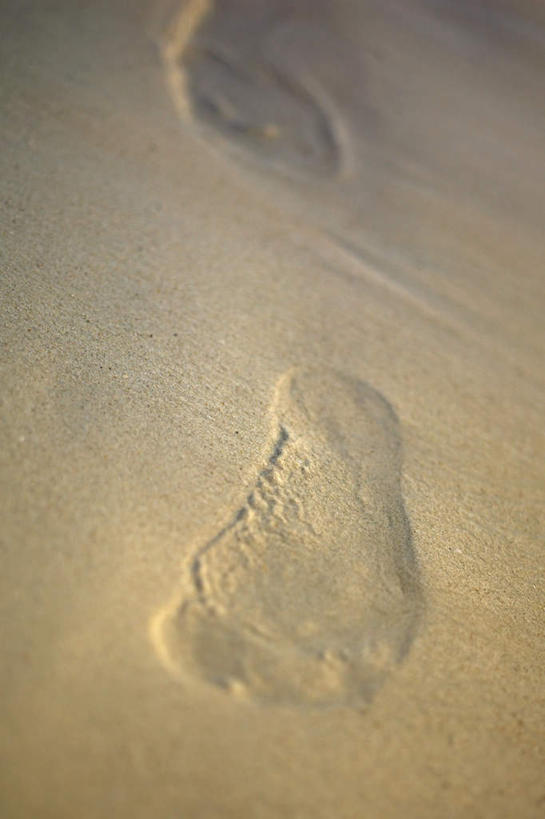 无人,竖图,俯视,室外,特写,白天,美景,沙滩,脚印,阴影,光线,沙子,影子,海岸,景观,沙地,阳光,自然,景色,足迹,自然风光,行踪,脚迹,海滩,彩图,高角度拍摄