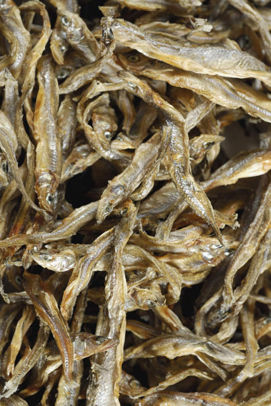 无人,竖图,俯视,室内,特写,白天,一堆,许多,阴影,堆叠,堆积,反射,影子,肉,鱼干,鱼肉,肉类,堆,肉食,彩图,高角度拍摄