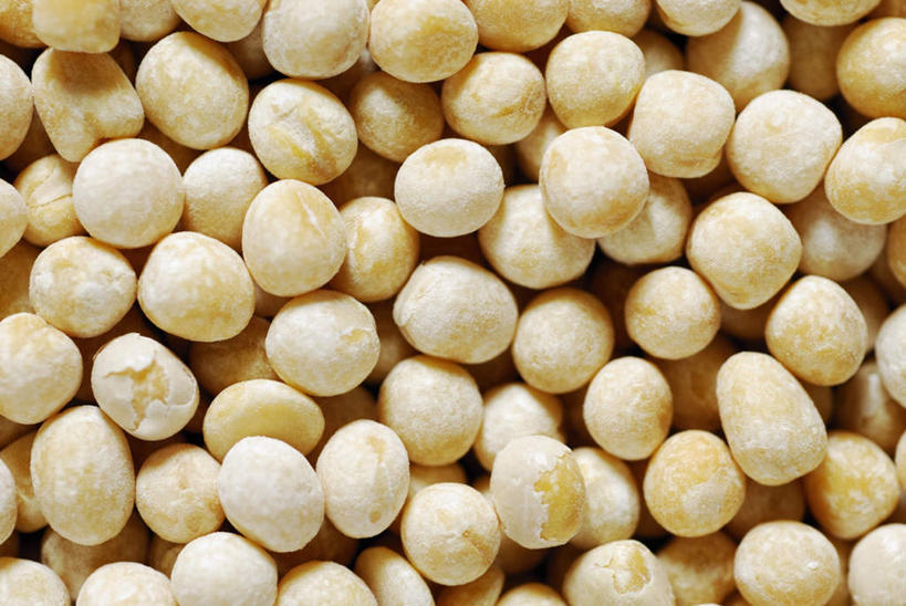 无人,横图,俯视,室内,特写,白天,一堆,许多,阴影,堆叠,堆积,反射,影子,坚果,干果,堆,银杏,白果,彩图,高角度拍摄