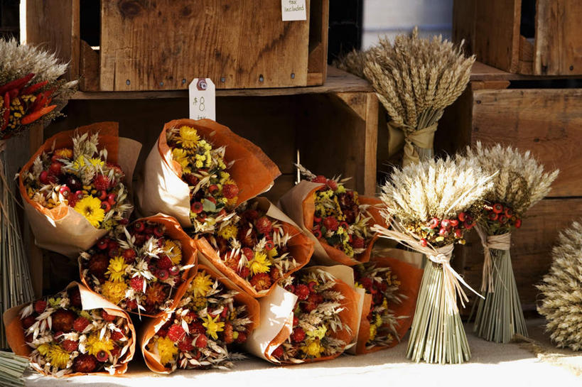 无人,花店,商店,横图,室外,特写,白天,正面,智慧,朦胧,模糊,艺术,盛开,花蕾,文化,商铺,花,花瓣,花朵,鲜花,插花,花苞,花蕊,插花艺术,创造,创作,想象,市肆,商号,彩图,店铺