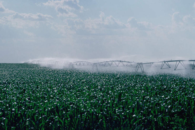 无人,农田,横图,室外,白天,正面,旅游,度假,庄稼,农作物,美景,水,植物,叶子,阴影,飞溅,溅,光线,液体,影子,景观,水滴,云,云朵,绿叶,云彩,娱乐,水珠,蓝色,绿色,白云,蓝天,天空,阳光,自然,天,享受,休闲,嫩叶,景色,放松,生长,晴朗,成长,喷洒,自然风光,洒水机,叶,叶片,晴空,彩图,耕地,庄稼田