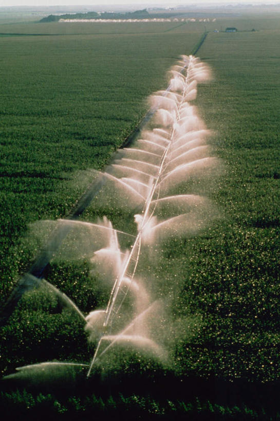 无人,农田,竖图,俯视,室外,白天,旅游,度假,庄稼,农作物,美景,水,植物,叶子,阴影,飞溅,溅,光线,液体,影子,景观,水滴,绿叶,娱乐,水珠,绿色,阳光,自然,享受,休闲,嫩叶,景色,放松,生长,成长,喷洒,自然风光,洒水机,叶,叶片,彩图,高角度拍摄,耕地,庄稼田