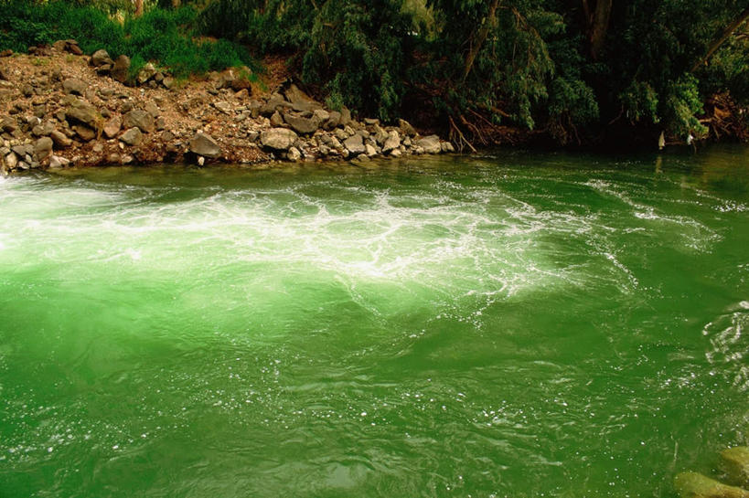 无人,横图,室外,白天,正面,旅游,度假,河流,石头,美景,森林,树林,水,植物,以色列,亚洲,石子,河水,景观,水流,娱乐,树,树木,绿色,自然,享受,休闲,景色,放松,生长,成长,自然风光,西亚,沉积岩,以色列国,水成岩,加利利,石块,岩石,彩图