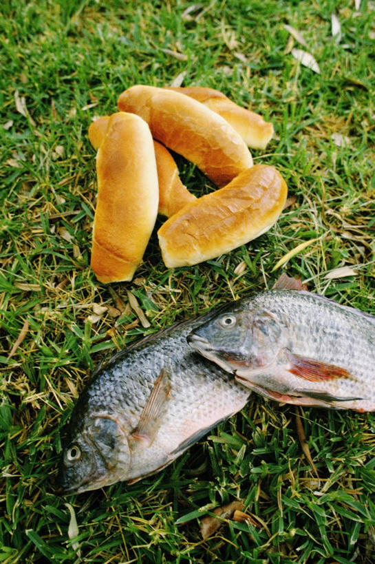 点心,海鲜,面包,无人,竖图,俯视,室外,特写,白天,草地,草坪,植物,以色列,亚洲,两条,一堆,许多,堆叠,堆积,鱼,食品,面点,很多,水产,鱼类,海洋生物,草,食物,糕点,绿色,堆,死亡,水生动物,海产品,西亚,水生物,海底动物,殒命,灭亡,以色列国,加利利,半身,彩图,高角度拍摄