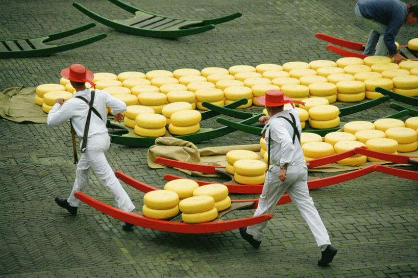 奶酪,西方人,三个人,伙伴,朋友,走,搬运,横图,俯视,室外,白天,工作服,制服,友谊,合作,团队,欧洲,荷兰,欧洲人,一排,整齐,干酪,起司,芝士,首都,营养,排列,工人,黄色,乳酪,战略,堆,乳制品,西欧,队列,发酵,阿姆斯特丹,联合,合谋,荷兰王国,尼德兰王国,工作制服,阿克马,配合,协作,男人,男性,年轻男性,白种人,搬,步行,散步,走路,半身,彩图,高角度拍摄,工作套服,阿克马乳酪市场