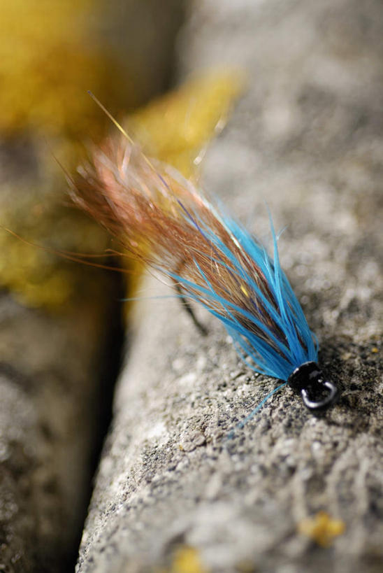 无人,竖图,俯视,室外,特写,白天,石头,阴影,朦胧,模糊,光线,钩子,石子,影子,一个,阳光,单个,渔具,鱼钩,鱼饵,石块,岩石,彩图,高角度拍摄,钓鱼