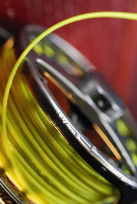 无人,竖图,室外,特写,白天,正面,仰视,静物,朦胧,模糊,环绕,缠绕,一个,单个,渔具,纠缠,鱼线轮,卷线器,彩图,低角度拍摄