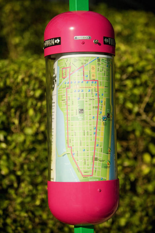 无人,竖图,室外,特写,白天,正面,植物,道路,地图,阴影,环保,朦胧,模糊,光线,信息,影子,防护,交通,方向,树,树木,绿色,阳光,自然,生长,成长,引导,指引,美好,美妙,间隔,美观,雅观,绿篱,生篱,树篱,植篱,彩图,导航