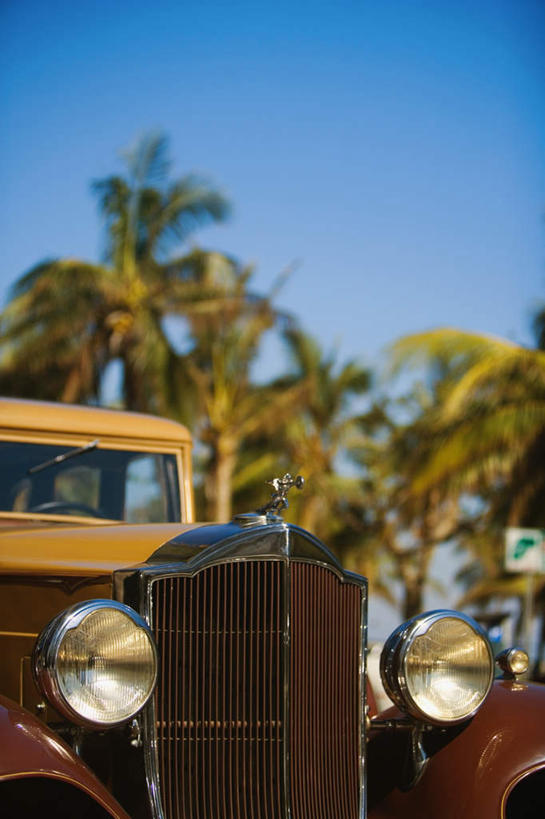 无人,竖图,室外,白天,仰视,安全,植物,汽车,古董车,棕榈树,叶子,照明,一辆,阴影,朦胧,模糊,光线,影子,绿叶,防护,车,灯,树,树木,蓝色,绿色,蓝天,天空,阳光,自然,灯具,交通工具,天,嫩叶,生长,晴朗,成长,保护,照亮,照明设备,载具,保险,老爷车,棕榈叶,前照灯,前大灯,万里无云,车前灯,保全,周全,安稳,安定,平安,叶,叶片,晴空,晴空万里,彩图,低角度拍摄,汽车保险杠,保险杠