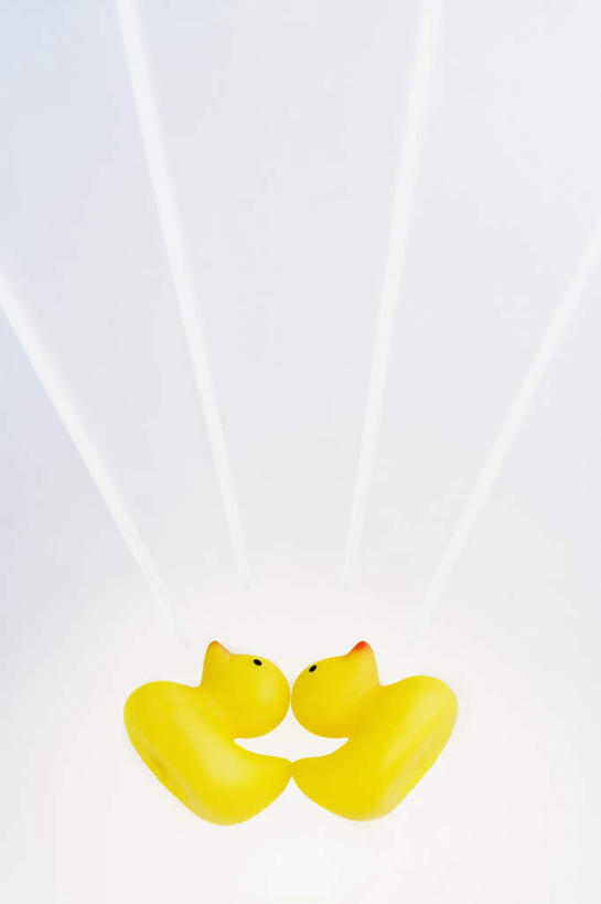 无人,竖图,俯视,室内,特写,白天,白色背景,游戏,静物,玩具,鸭子,玩,娱乐,两个,黄色,休闲,橡胶,益智,摄影,影棚,活动,发泄,消遣,智力,橡胶制品,宣泄,橡胶小鸭,橡皮小鸭,玩耍,嬉戏,彩图,高角度拍摄,影棚拍摄,拍摄