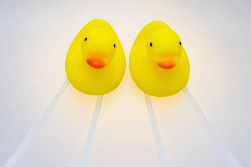 无人,横图,室内,特写,白天,白色背景,正面,游戏,静物,玩具,鸭子,玩,娱乐,两个,黄色,休闲,橡胶,益智,摄影,影棚,活动,发泄,消遣,智力,橡胶制品,宣泄,橡胶小鸭,橡皮小鸭,玩耍,嬉戏,彩图,影棚拍摄,拍摄
